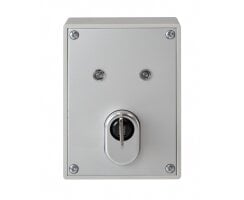 ABUS SE1010 Schlüsselschalter inkl. ABUS...