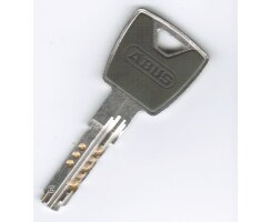 ABUS Vorhangschlösser XP20S Gleichschließend Vorhangschloss 83WPCS/53  XP20